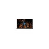 Hisense 55A9GTUK 55E76gqtuk 55' Oled 4K Uhd Certified TV Dolby Vision + Atmos