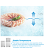 Midea MDRC211FZE01 143L Static Chest Freezer White