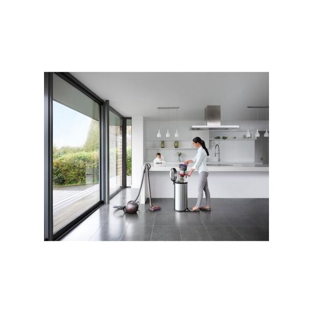 Dyson BIGBALLANIMAL2 Big Ball Animal 2 Cylinder Vacuum Cleaner