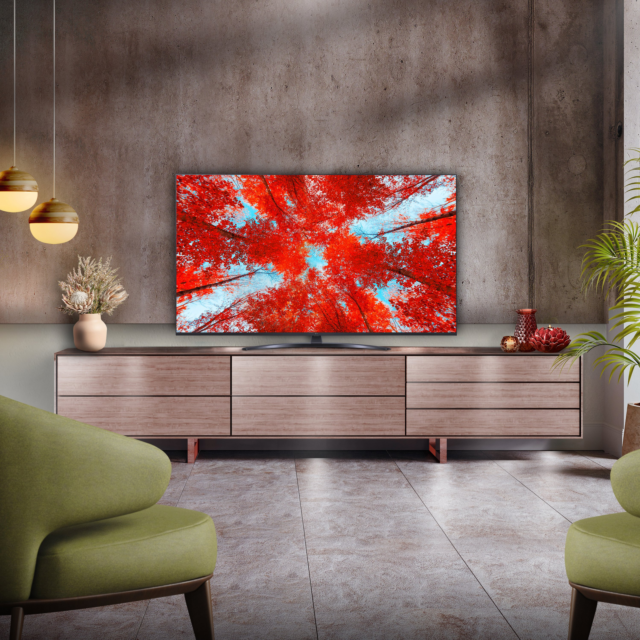 LG 55UQ91006LA_AEK 55inch 4K LED Smart TV with Voice Assistants