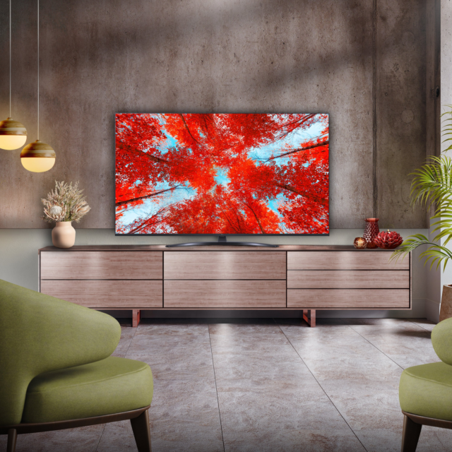 LG 65UQ91006LA_AEK 65inch 4K LED Smart TV with Voice Assistants