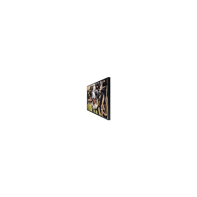 75inch SAMSUNG the Terrace QE75LST7TAUXXU Smart 4K Ultra HD HDR QLED Outdoor TV with Bixby & Google Assistant, Black
