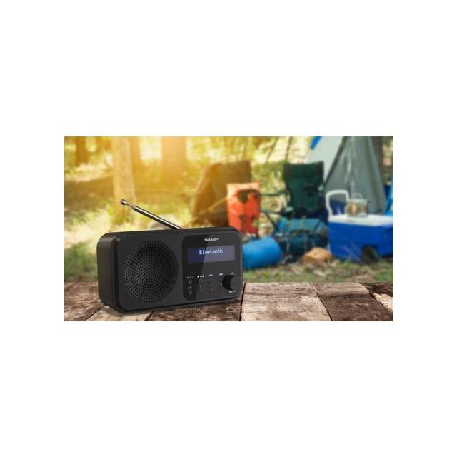 Sharp DR-P420 BK Wireless DAB Radio - Black