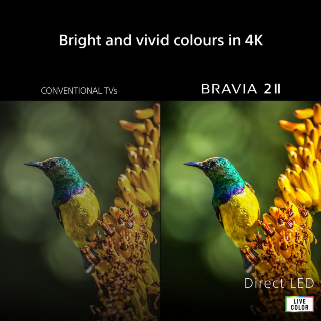 Sony K65S25M2PB.UKA 65inch 4K BRAVIA 2 II Direct LED Google TV